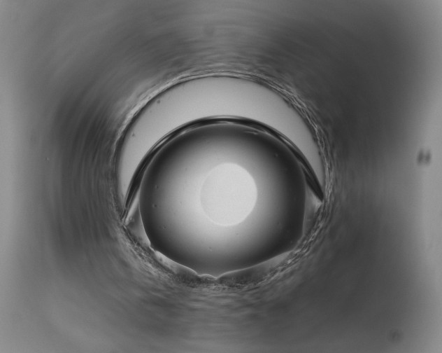 X0000114010146200910021351