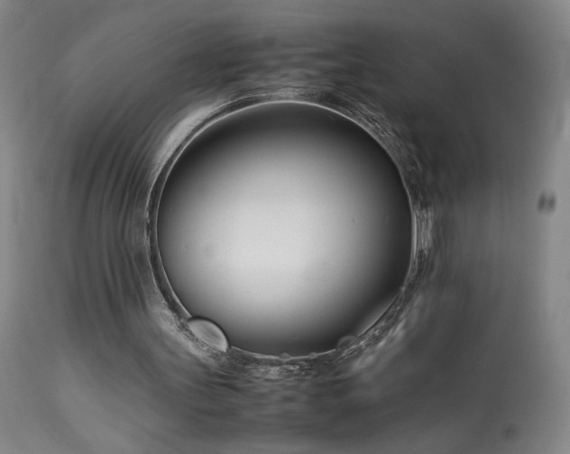 X0000114010147200910021351