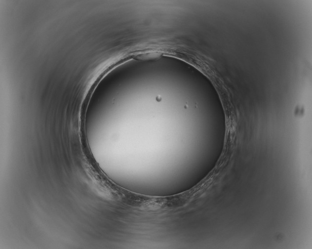 X0000114010148200910021351