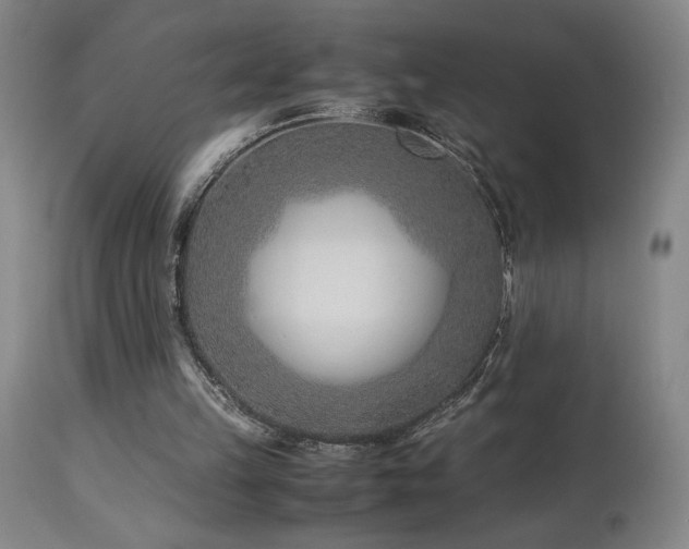 X0000114010149200910021351