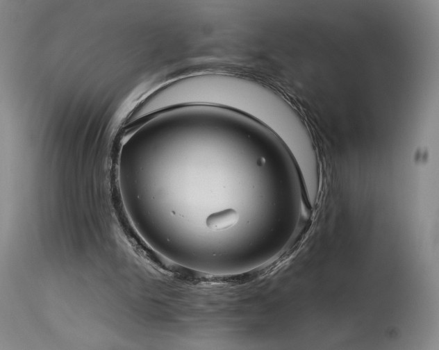 X0000114010150200910021351
