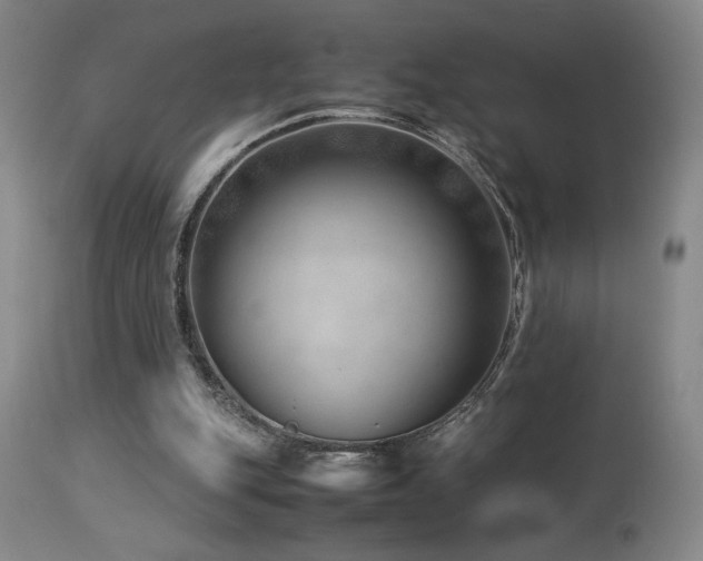 X0000114010151200910021351