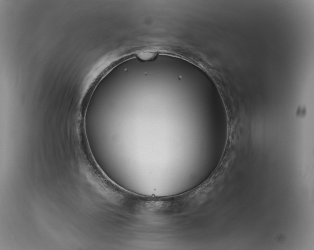 X0000114010152200910021351