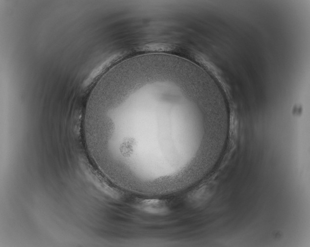 X0000114010153200910021351