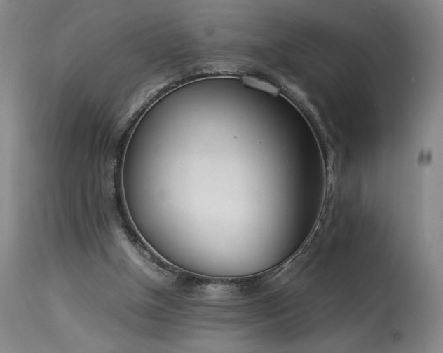 X0000114010154200910021351