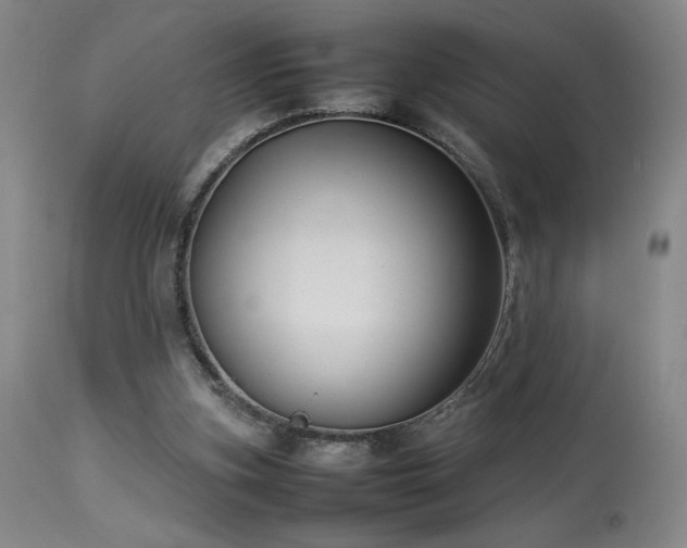 X0000114010155200910021351