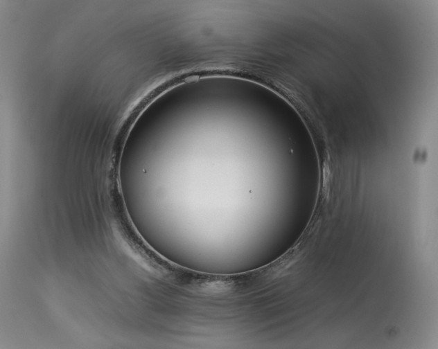 X0000114010156200910021351