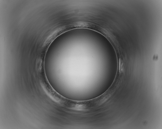 X0000114010157200910021351
