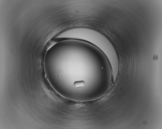 X0000114010158200910021351
