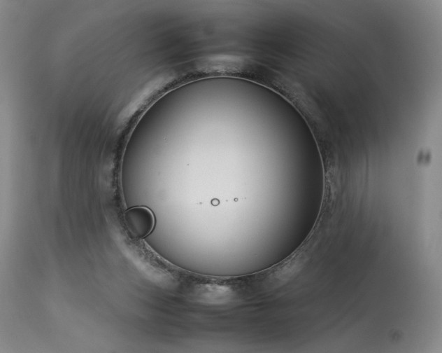 X0000114010159200910021351