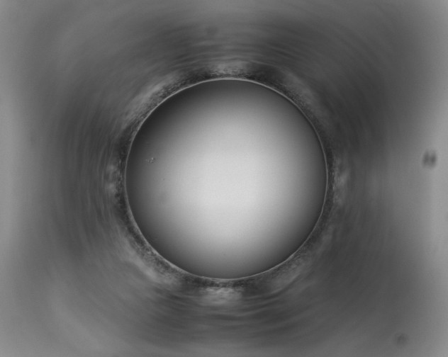 X0000114010161200910021351