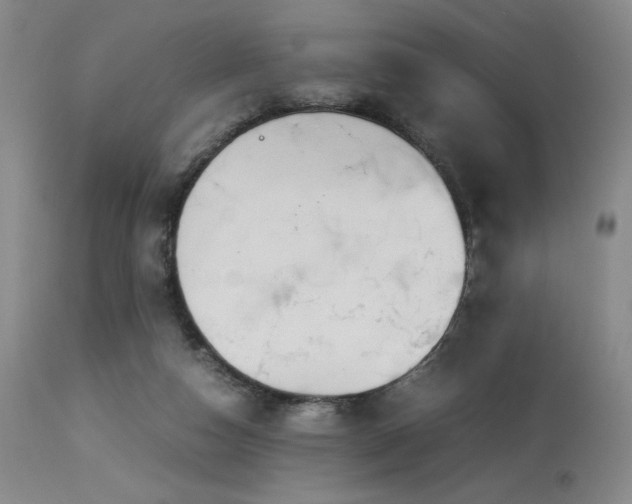 X0000114010162200910021351