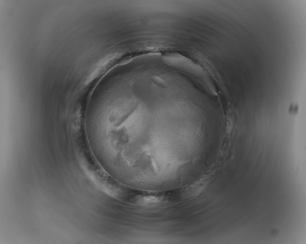 X0000114010163200910021351