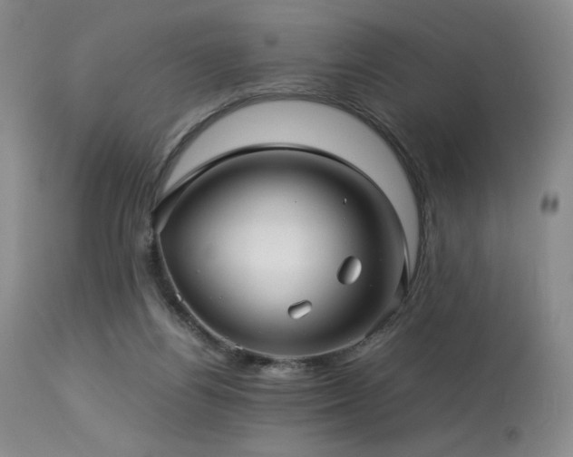 X0000114010164200910021351