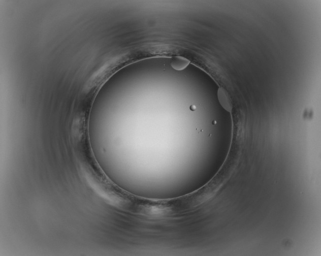X0000114010165200910021351