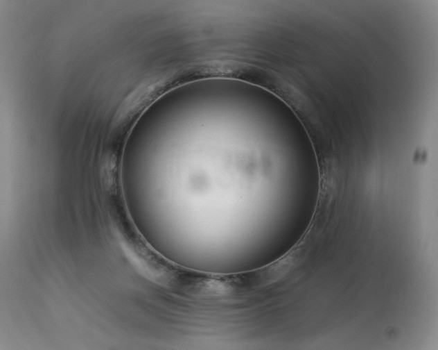 X0000114010166200910021351