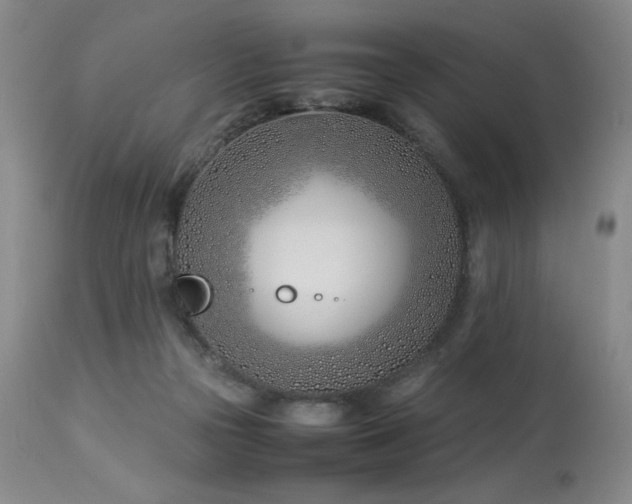 X0000114010169200910021351