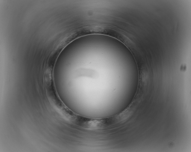 X0000114010172200910021351