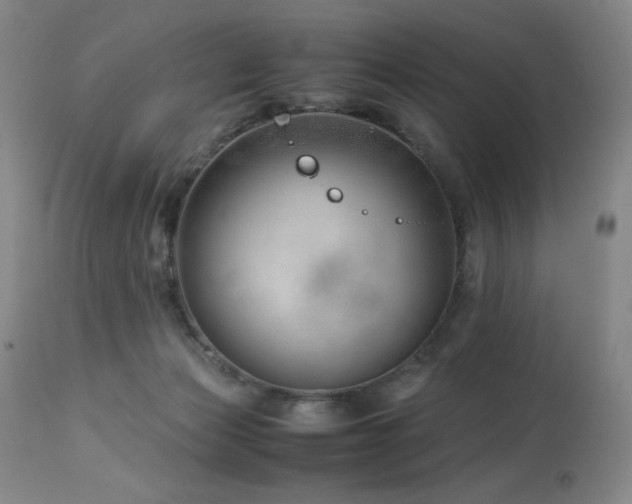 X0000114010173200910021351