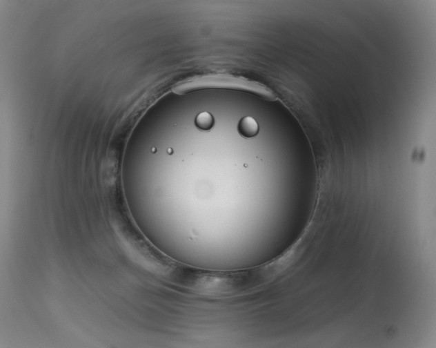 X0000114010174200910021351
