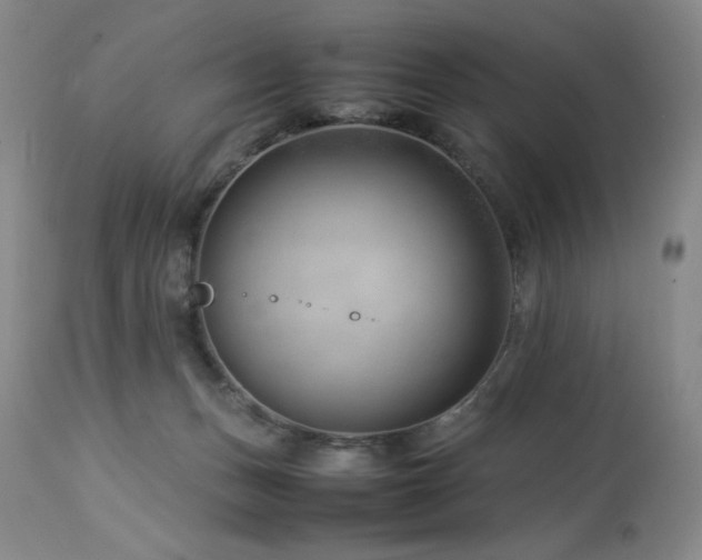 X0000114010175200910021351