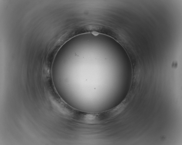 X0000114010176200910021351