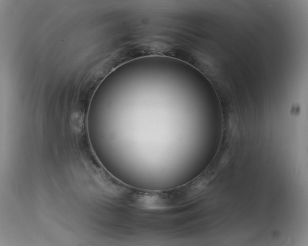 X0000114010177200910021351