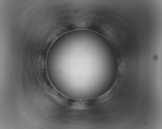 X0000114010179200910021351