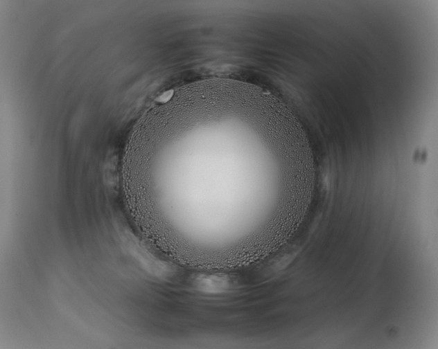 X0000114010181200910021352
