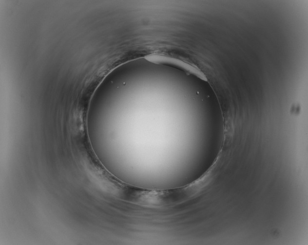 X0000114010182200910021352