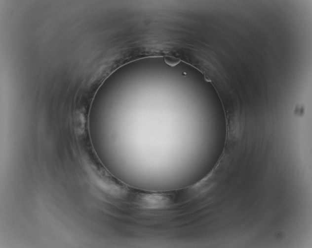 X0000114010183200910021352