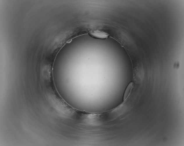 X0000114010184200910021352