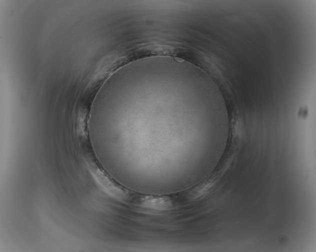 X0000114010185200910021352