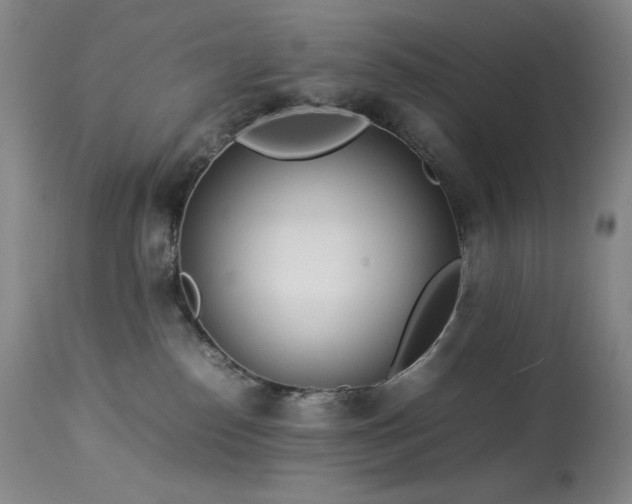 X0000114010186200910021352