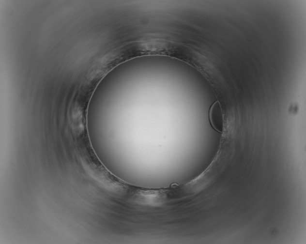 X0000114010187200910021352