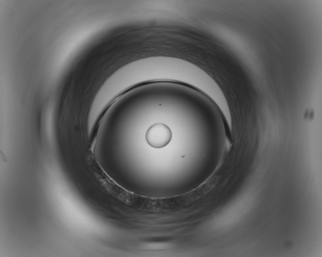 X0000114010189200910021352