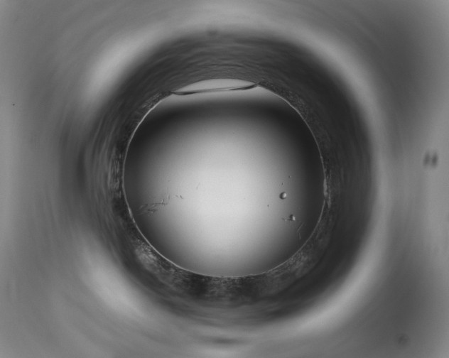 X0000114010190200910021352