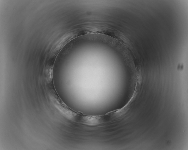 X0000114010191200910021352