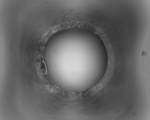 X0000114010192200910021352