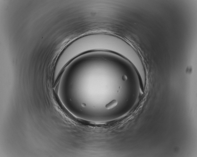 X0000114010193200910021351
