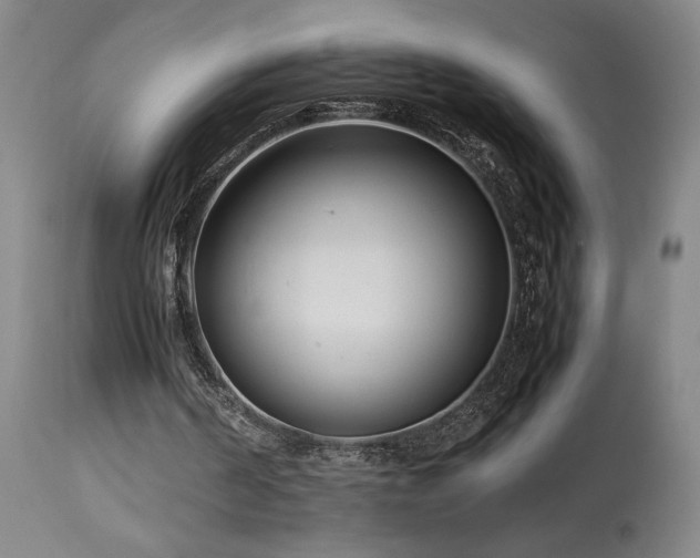 X0000114010194200910021351