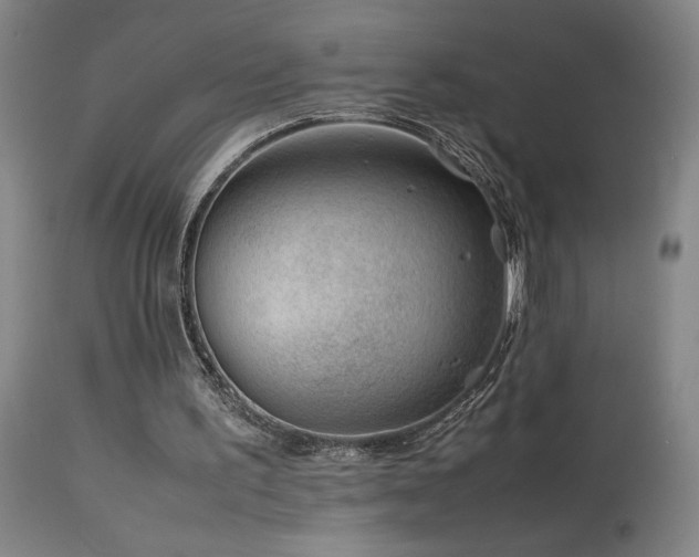 X0000114010195200910021351