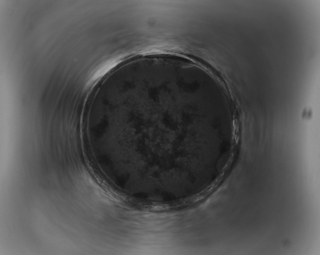 X0000114010196200910021351
