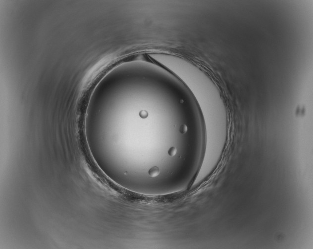 X0000114010197200910021351