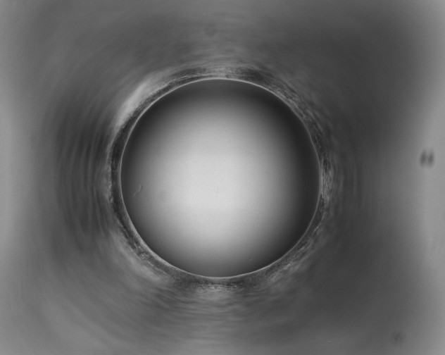 X0000114010198200910021351