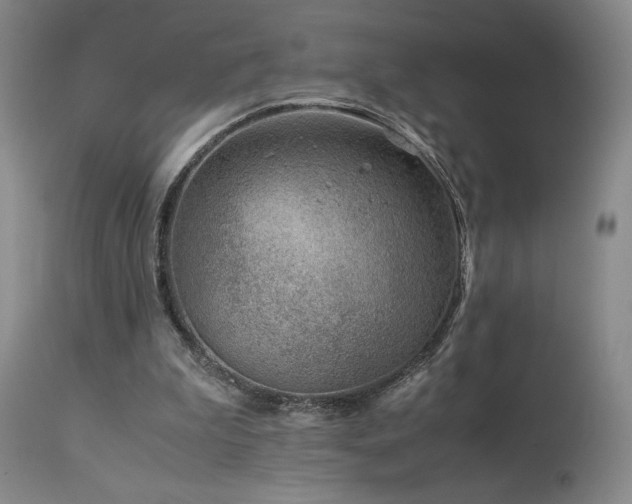 X0000114010199200910021351