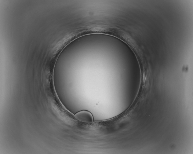X0000114010201200910021351