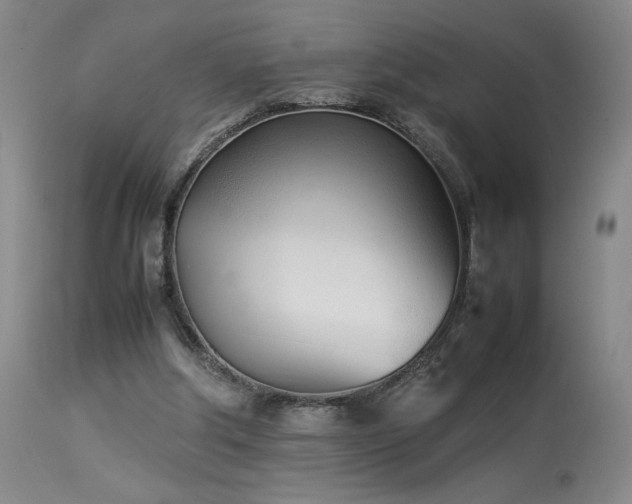 X0000114010202200910021351