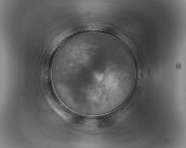 X0000114010203200910021351