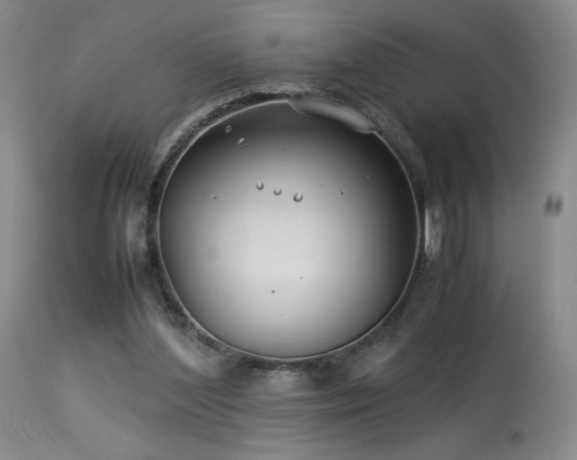 X0000114010204200910021351